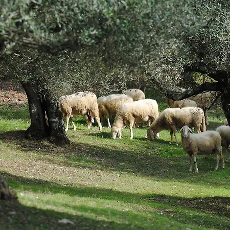 Poggiolo Casa de Campo *